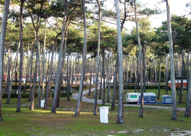Hotel Parque De Campismo Orbitur São Pedro de Muel Exterior foto